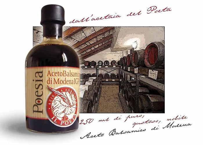 B&B Acetaia Il Mulino Di Navicello Modena